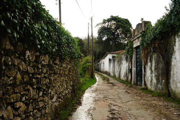 Después de la lluvia, Sintra