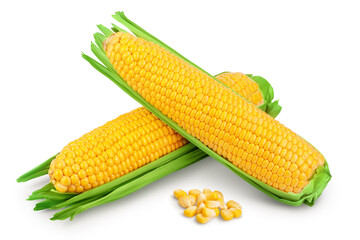 ear of corn isolated on a white background. Clipping path and full depth of field