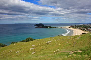 Fresh green grass and sandy beach in Tauranga, New Zealand