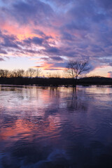 Obraz premium flooded fields in winter at sunset