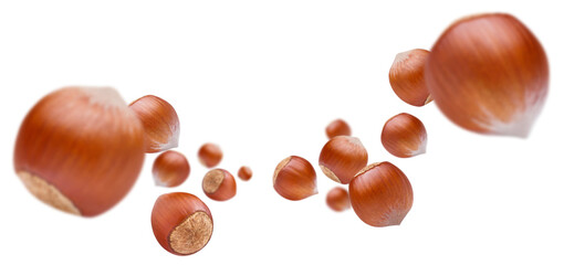 Flying hazelnuts cut out