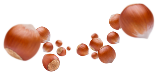 Flying hazelnuts cut out