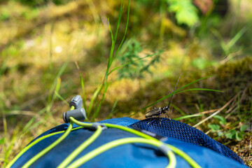 Large black beetle sits on a blue tourist backpack. Cerambyx is a genus of beetles in the family Cerambycidae. Capricorn beetle. Tourism