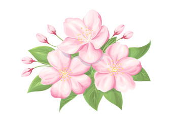 Fototapeta premium 桜の花のイラスト, ベクター素材, 春のキービジュアル, デザイン要素としての挿絵素材.