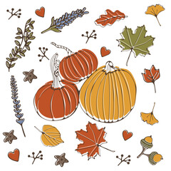 Colorful autumn  elements collection illustration in vector