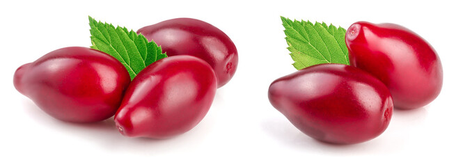 Red berries of cornel or dogwood with leaf isolated on white background