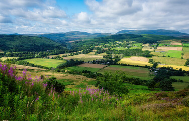 Scenic View of Invergordon, Scotland