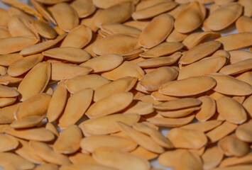 Dry Organic Melon White Seeds top view background or texture. macro shot
