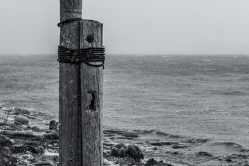 Old pier pilings in winter on stormy Columbia River in black and white