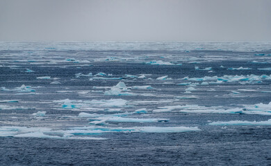 Arctic Ice Cap
