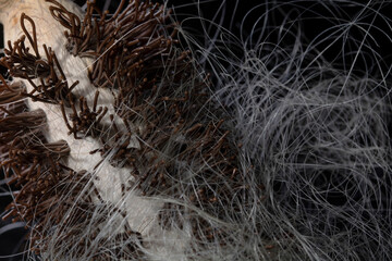 white hair falling on the hairbrush