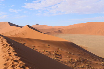 Fototapeta na wymiar dunes de sossusvlei, desert du namib