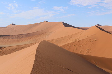 Fototapeta na wymiar dunes de sossusvlei