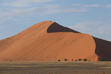 Fototapeta na wymiar dune de sossusvlei, desert du namib,
