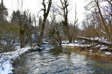 Rak river in Rakov Skocjan in Notranjska, Slovenia in winter