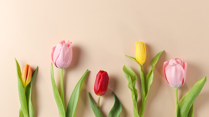 Set of Colorful tulip On pastel beige 