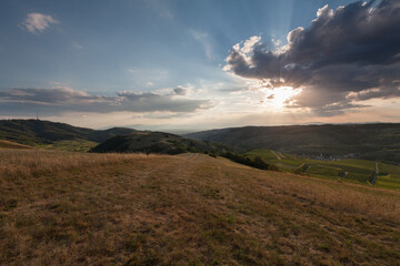 Beautiful view of a vineyard terraces and a village in the valley at Kaiserstuhl, Germany under a blue sky. The Rhine valley and the french Vosges mountains are in background.