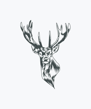 Deer head vector illustration black 