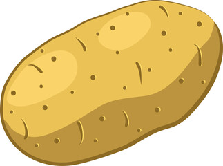 Potato Root vegetable illustration