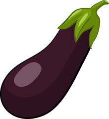 Eggplant Aubergine fruit illustration