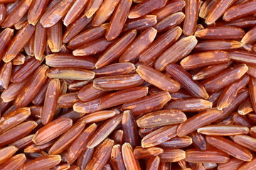 Red Rice