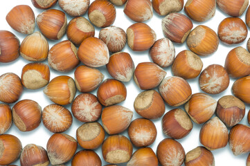 hazelnuts isolated on white background