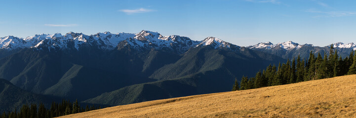 Panorama of Olympic Mountains from Hurricane Ridge in Olympic National Park.