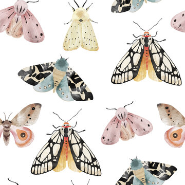 Seamless pattern with colorful butterflies and moths, watercolor illustration.