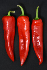 Large red capsicum on a black background. Hot red pepper. Capsicum.