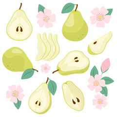 Set of illustrations of ripe green pear with pink flowers in flat style. Pear blossom. Pears in a section.