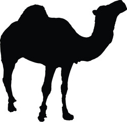 Camel icon silhouette vector illustration

