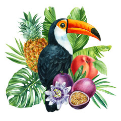 Toucan, fruits, flowers and leaves on an isolated white background. Watercolor hand drawn botanical illustration. 