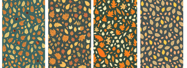 Autumn colors background collection,leaves of different sizes