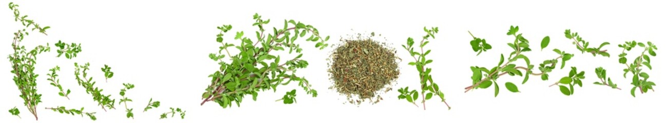 Oregano or marjoram leaves fresh and dry isolated on white background. Top view. Flat lay. Set or collection