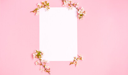 Apricot branches around a white sheet of clean paper on a pink background with space for text.