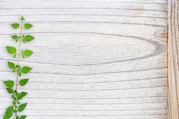 木目背景とグリーン