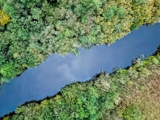 Luftaufnahme/ Drohnenaufnahme von einem Bach, der zwischen einem dichten Wald und einer wild bewachsenen Wiese fließt.