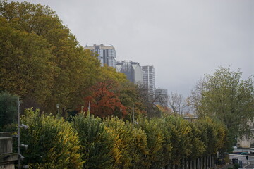 autumn in the city of  downtown Paris, France by the Seine river