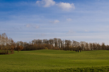 Fototapeta premium Enghien, Belgium - January 17, 2023 : beautiful view of Enghien park