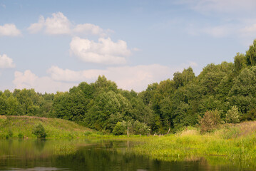 Fototapeta na wymiar Lake in woods in summer
