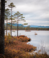 Autumn at Damvatn lake near Gransherad, Telemark county, Norway