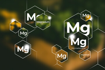 Microelement supplement concept, Magnesium. Hexagons with Magnesium icon, blurry green background.