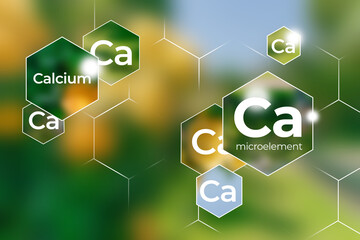 Immunity protection concept, Calcium. Hexagons with Calcium icon, blurry green background.