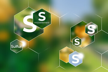 Microelement supplement concept, Sulfur. Hexagons with Sulfur icon, blurry green background.