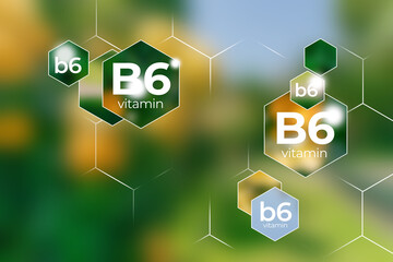 Molecular model of vitamin B6. Hexagons with Vitamin B6 name, blurry green background.