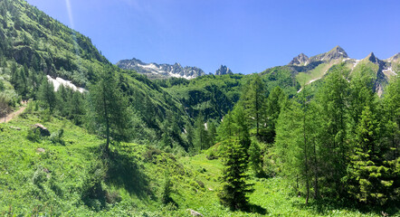 Naklejka premium panoramic alpine landscape of the Campolungo region