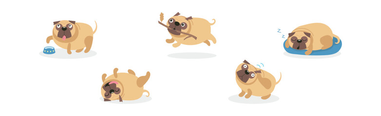 Cute Pug Dog and Canine with Wrinkled Snout Vector Set