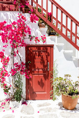 Red door with pink vines Mykonos