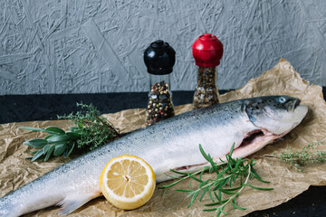 Fish. Raw fish for cooking. Trout. Salmon. Salmon