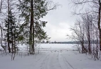 The snow-covered road between the trees